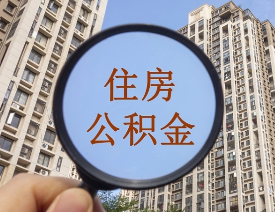 乐陵退休后查不到公积金明细了吗（退休后公积金查询不到原因）